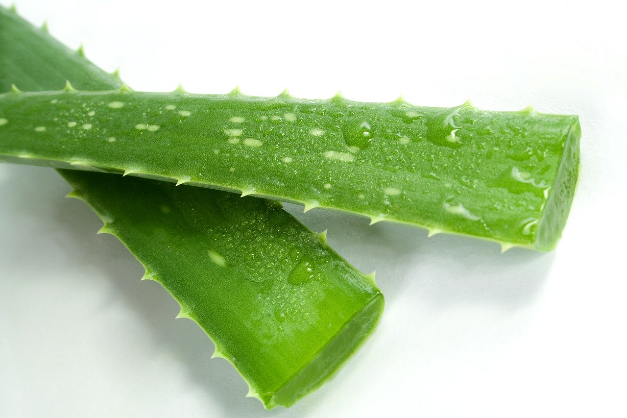 aloe vera gel how to use