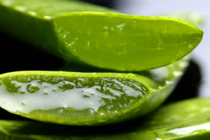 Use of aloe vera for scars